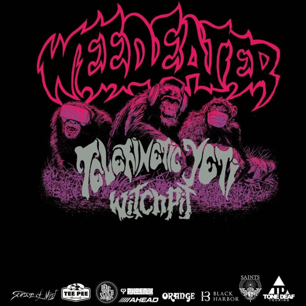 Weedeater 78531653561414